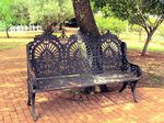 Bench Download Jigsaw Puzzle