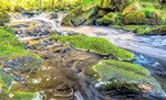 Stream, Yorkshire Download Jigsaw Puzzle