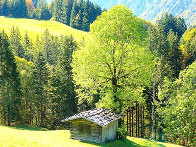 Mountain Cabin Download Jigsaw Puzzle