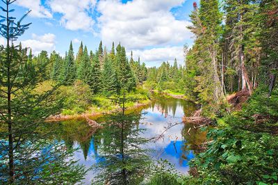 Lake, Canada Download Jigsaw Puzzle
