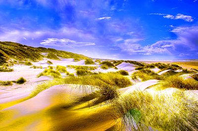 Dunes, North Sea  Download Jigsaw Puzzle