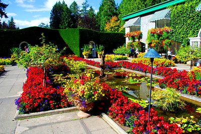 Flowers Download Jigsaw Puzzle