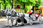 Carriage Download Jigsaw Puzzle