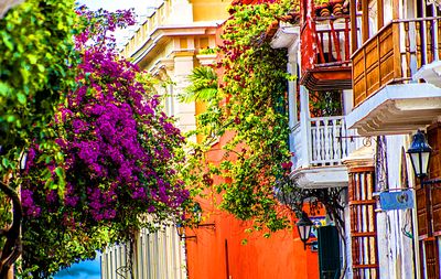 Flowers Download Jigsaw Puzzle