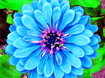 Flower Download Jigsaw Puzzle