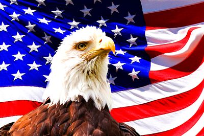 Eagle and Flag Download Jigsaw Puzzle