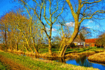 Creek Download Jigsaw Puzzle