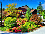 Foliage, Vermont Download Jigsaw Puzzle