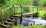Wooden Bridge Download Jigsaw Puzzle