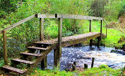 Wooden Bridge Download Jigsaw Puzzle