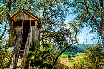 Tree House Download Jigsaw Puzzle