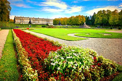 Flowers, Bavaria Download Jigsaw Puzzle