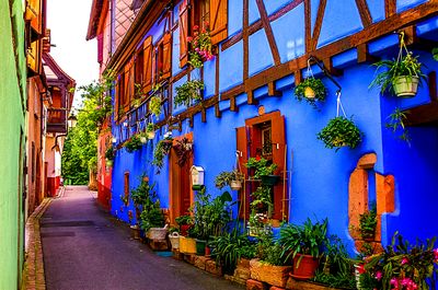 Alley, Alsace Download Jigsaw Puzzle