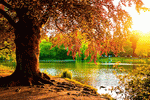 Lake, Germany Download Jigsaw Puzzle