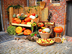 Autumn Harvest Download Jigsaw Puzzle