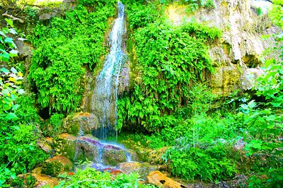 Waterfall Download Jigsaw Puzzle