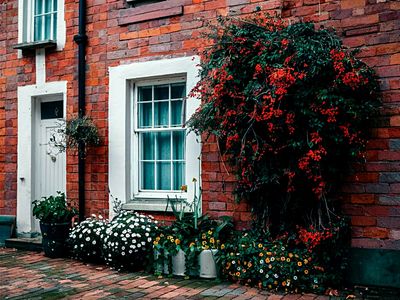 Flowers Download Jigsaw Puzzle