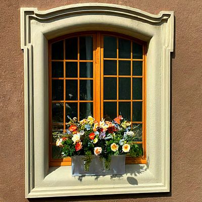 Flowers Download Jigsaw Puzzle