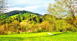 Green Valley Download Jigsaw Puzzle