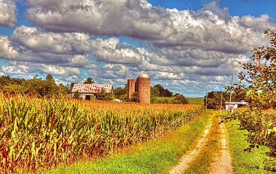 Farm Road Download Jigsaw Puzzle