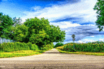 Download Jigsaw Puzzle
