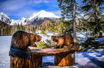 Beaver Statues Download Jigsaw Puzzle
