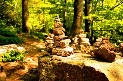 Stones Download Jigsaw Puzzle