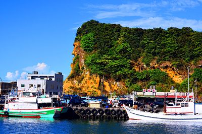 Boats Download Jigsaw Puzzle