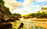 Riverbed Download Jigsaw Puzzle