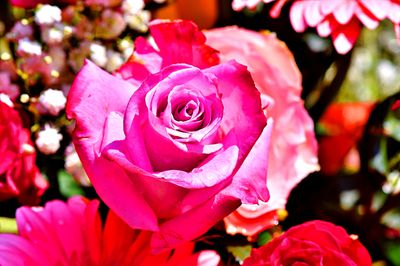 Flowers Download Jigsaw Puzzle