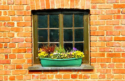 Flowers Download Jigsaw Puzzle
