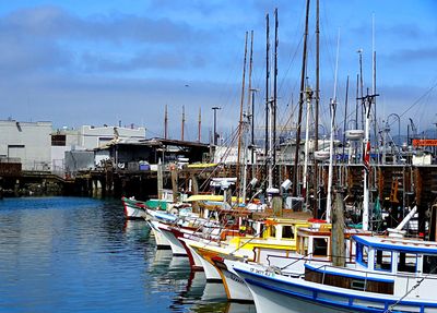 Boats Download Jigsaw Puzzle