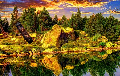 Rocky Coast Download Jigsaw Puzzle