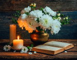 Flowers Download Jigsaw Puzzle