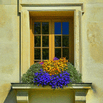 Flowers Download Jigsaw Puzzle