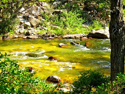 River Download Jigsaw Puzzle