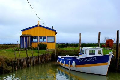 Boat Download Jigsaw Puzzle