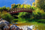 Bridge Download Jigsaw Puzzle