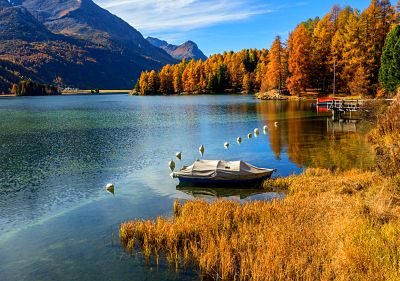 Autumn Lake Reflection Download Jigsaw Puzzle