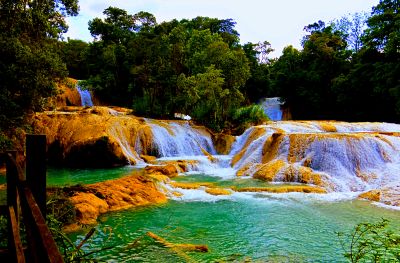 Tropical Forest Waterfalls Download Jigsaw Puzzle