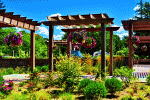 Garden Pergola Walkway Download Jigsaw Puzzle