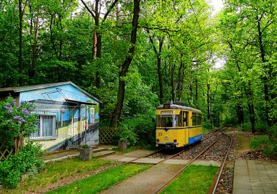 Forest Trolley Stop Download Jigsaw Puzzle
