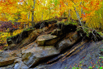 Autumn Forest Cliff Download Jigsaw Puzzle