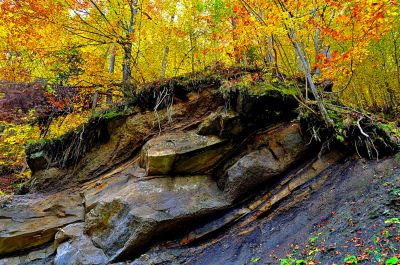 Autumn Forest Cliff Download Jigsaw Puzzle