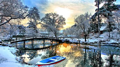 Boats Download Jigsaw Puzzle