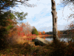 Lake Download Jigsaw Puzzle