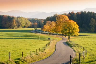 Winding Country Road Download Jigsaw Puzzle
