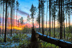 Sunset Download Jigsaw Puzzle