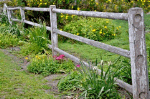 Fence Download Jigsaw Puzzle