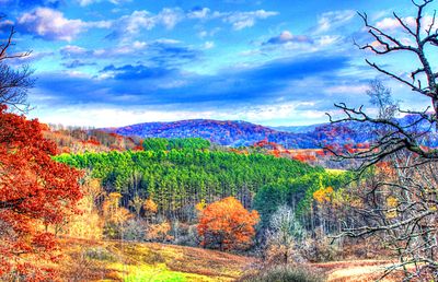 Landscape, Wisconsin Download Jigsaw Puzzle